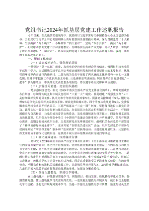党组书记2024年抓基层党建工作述职报告.docx