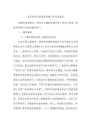 党支部书记抓基层党建工作述职报告.docx