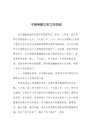 干部考察三年工作总结 2篇.docx