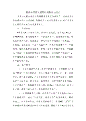 村集体经济发展经验案例做法亮点.docx