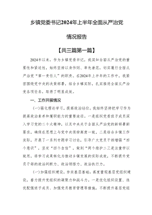 （3篇）乡镇党委书记2024年上半年全面从严治党情况报告.docx