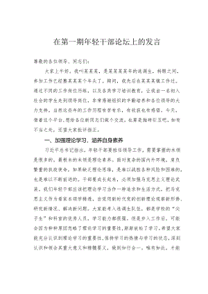 在第一期年轻干部论坛上的发言.docx