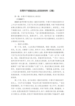 在青年干部座谈会上的发言材料（2篇）.docx