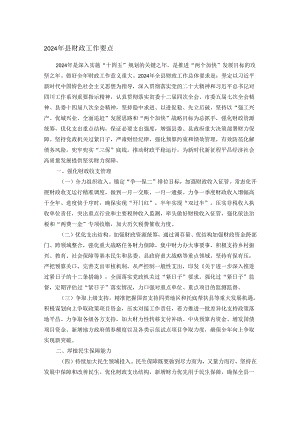 2024年县财政工作要点.docx