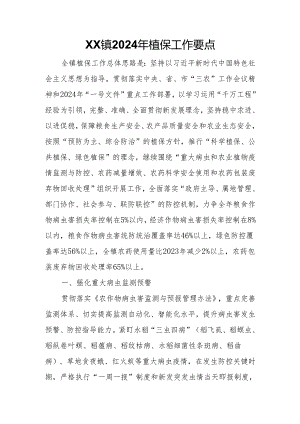 XX镇2024年植保工作要点.docx
