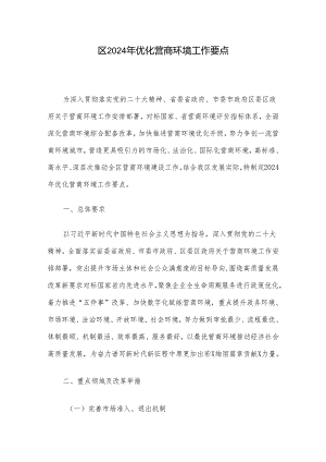 区2024年优化营商环境工作要点.docx