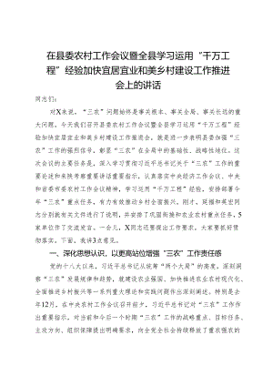 在县委农村工作会议暨全县学习运用“千万工程”经验加快宜居宜业和美乡村建设工作推进会上的讲话.docx