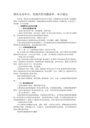 国有企业审计：发现共性问题清单、审计建议.docx