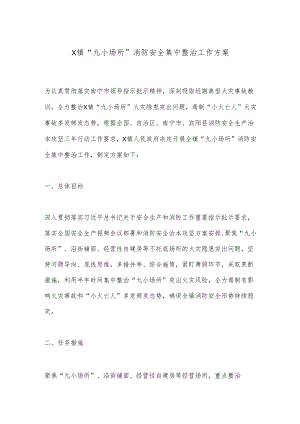 X镇“九小场所”消防安全集中整治工作方案.docx