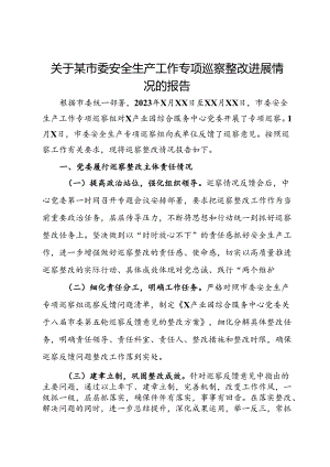 关于某市委安全生产工作专项巡察整改进展情况的报告.docx