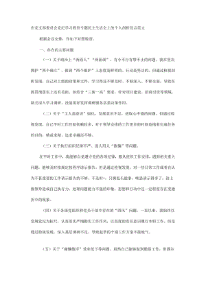 在党支部委员会党纪学习教育专题民主生活会上的个人剖析发言范文.docx