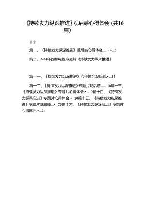 《持续发力纵深推进》观后感心得体会16篇（最新版）.docx