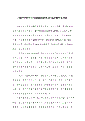 2024年党纪学习教育观看警示教育片心得体会集合篇.docx