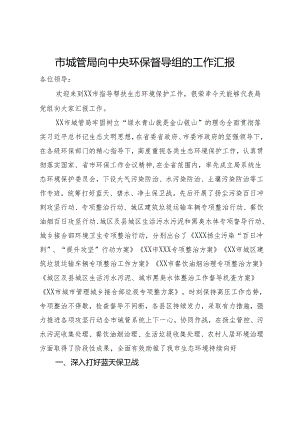 市城管局向中央环保督导组的工作汇报.docx