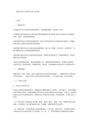应急指挥预案(2024年新建区级).docx