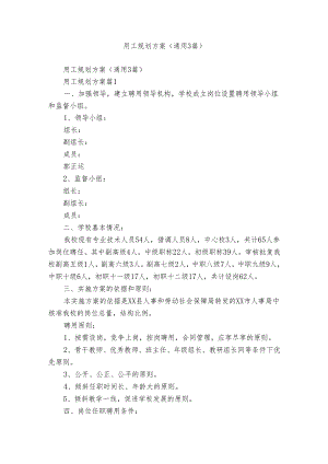 用工规划方案（通用3篇）.docx