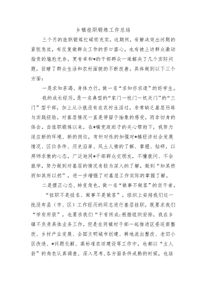 乡镇挂职锻炼工作总结.docx