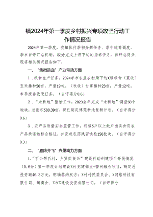 镇2024年第一季度乡村振兴专项攻坚行动工作情况报告.docx