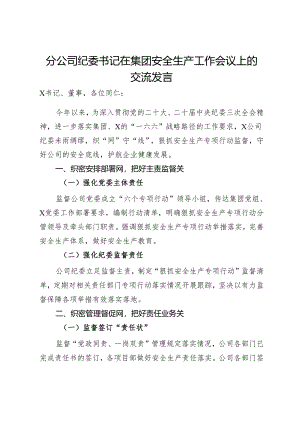 分公司纪委书记在集团安全生产工作会议上的交流发言.docx