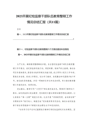 （11篇）开展纪检监察干部队伍教育整顿工作情况总结汇报范文.docx