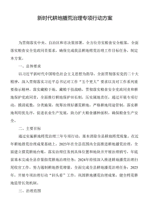 新时代耕地撂荒治理专项行动方案.docx