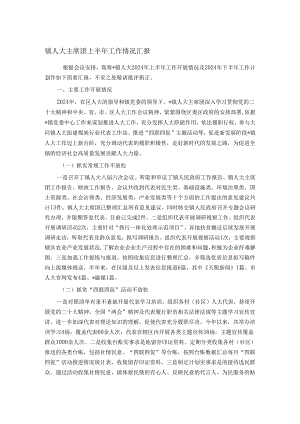 镇人大主席团上半年工作情况汇报.docx