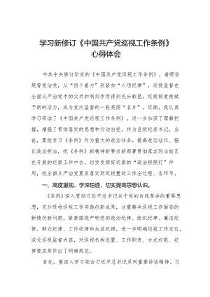 2024年纪检书记学习新修订《中国共产党巡视工作条例》心得体会8篇.docx