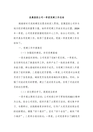 县属国投公司一季度党建工作总结.docx