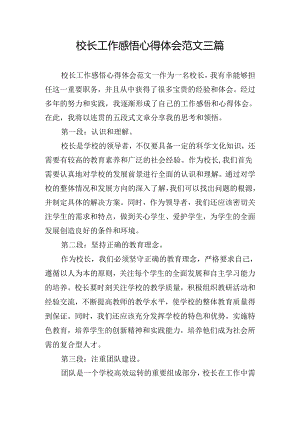 校长工作感悟心得体会范文三篇.docx