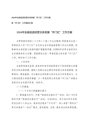 （2篇）2024年全县促进经营主体发展“开门红”工作方案及工作情况汇报.docx