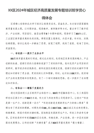 区2024年城区经济高质量发展专题培训班学员心得体会（2篇）.docx