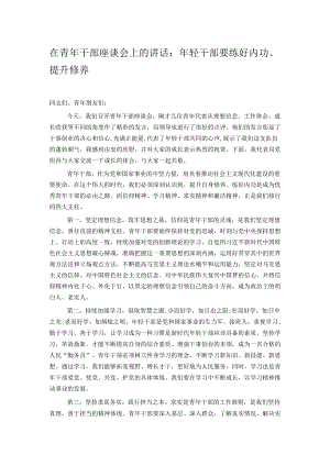 在青年干部座谈会上的讲话.docx