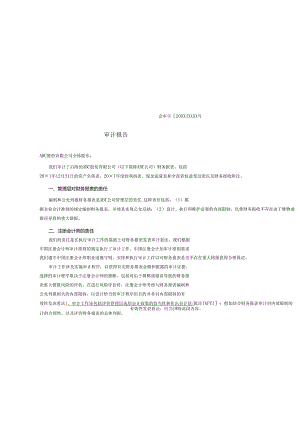 0-3-7保留意见的审计报告（带强调事项段）.docx