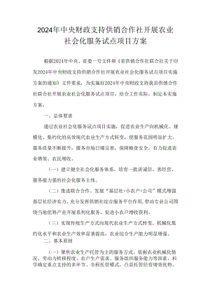 2024年中央财政支持供销合作社开展农业社会化服务试点项目方案.docx