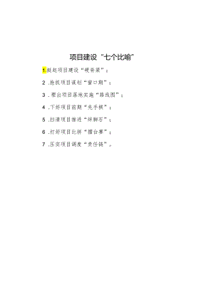 项目建设“七个比喻”.docx