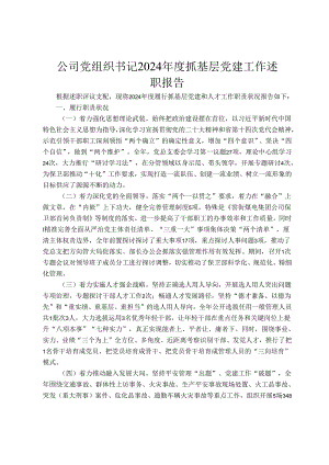 公司党组织书记2024年度抓基层党建工作述职报告.docx