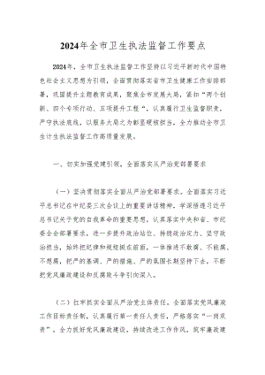 2024年全市卫生执法监督工作要点.docx