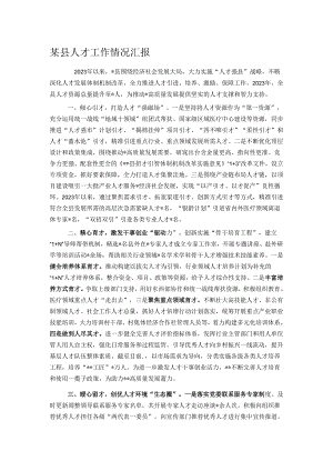 某县人才工作情况汇报.docx