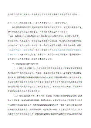 陕西省自然资源厅关于进一步强化规划许可规范规划实施监督管理的意见(试行).docx
