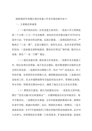 农村社区党支部支部书记述职报告.docx