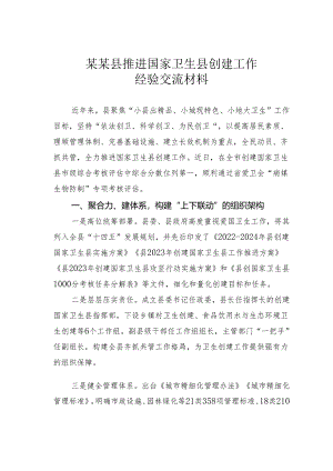 某某县推进国家卫生县创建工作经验交流材料.docx
