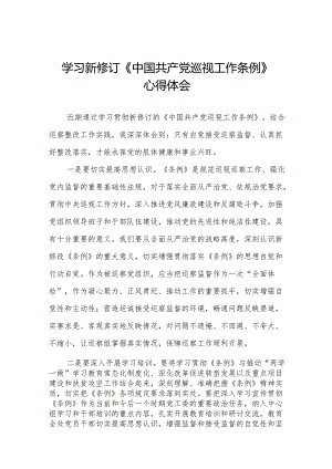 学习新修订中国共产党巡视工作条例2024版心得体会8篇.docx