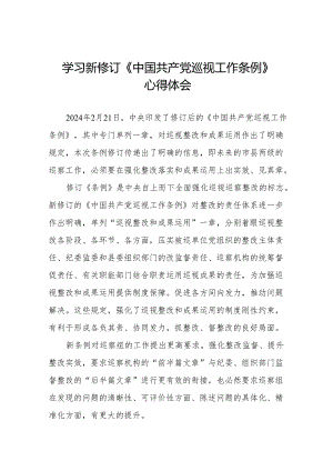 2024版中国共产党巡视工作条例的学习心得体会8篇.docx