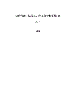 综合行政执法局2024年工作计划汇编（6篇）.docx