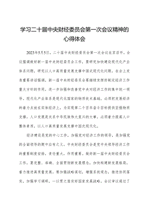 学习二十届中央财经委员会第一次会议精神的心得体会.docx