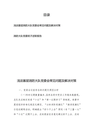浅谈基层消防大队党委会常见问题及解决对策、消防大队党委班子述职报告.docx