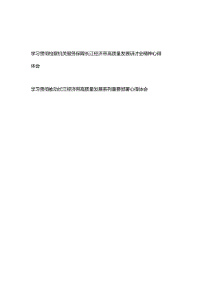 学习贯彻检察机关服务保障长江经济带高质量发展研讨会精神心得体会+学习贯彻推动长江经济带高质量发展系列重要部署心得体会.docx