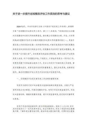关于进一步提升巡视整改评估工作质效的思考与建议.docx