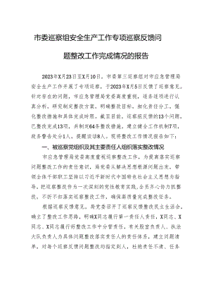 市委巡察组安全生产工作专项巡察反馈问题整改工作完成情况的报告.docx