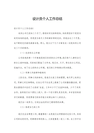 设计员个人工作总结.docx